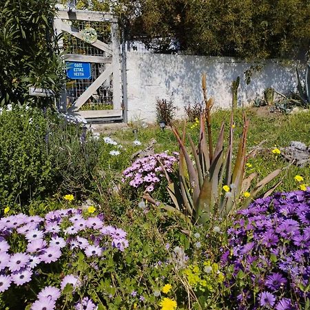 B&B Hestia'S Hideaway Καλύβια Θορικού Εξωτερικό φωτογραφία
