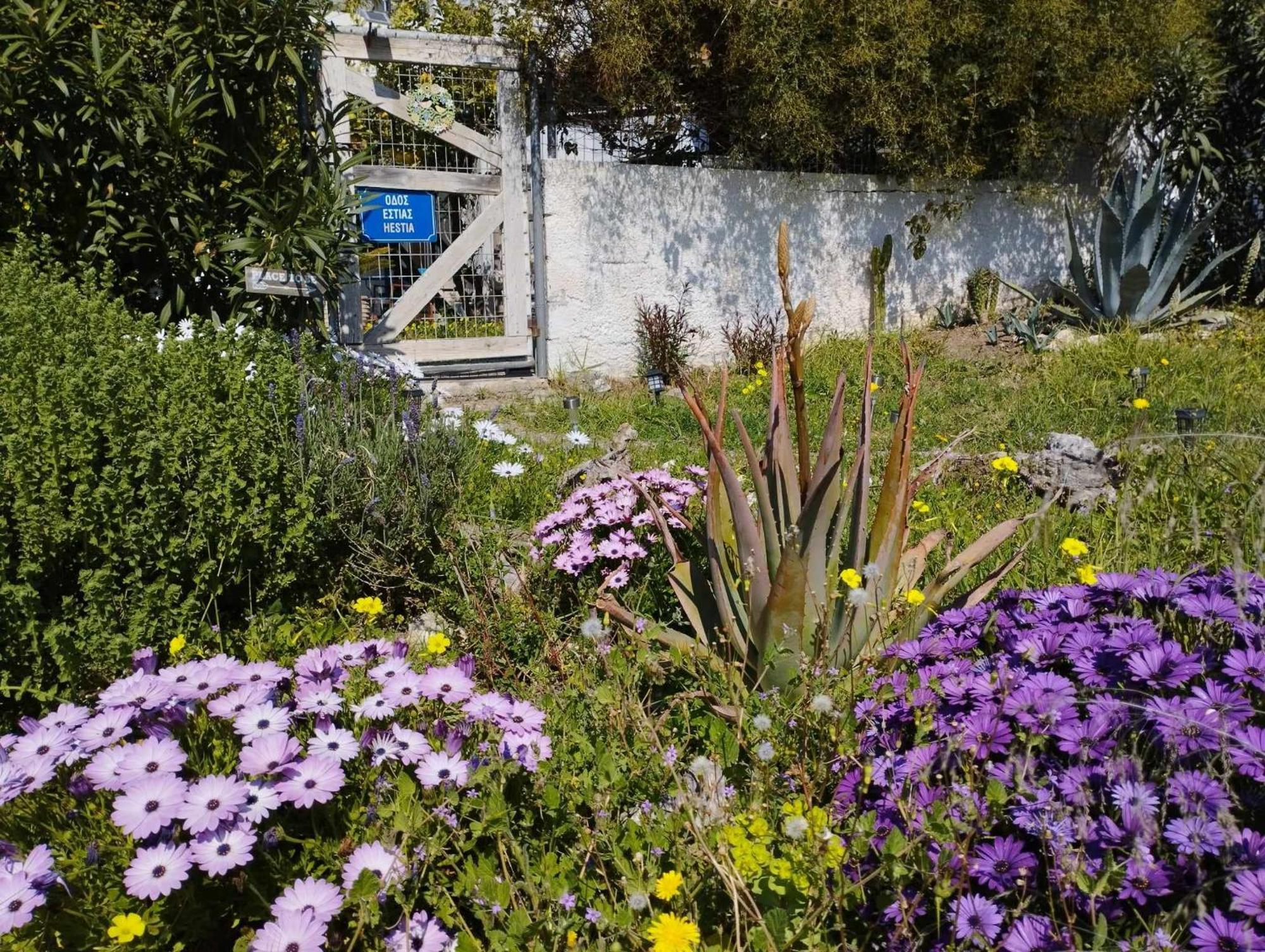 B&B Hestia'S Hideaway Καλύβια Θορικού Εξωτερικό φωτογραφία